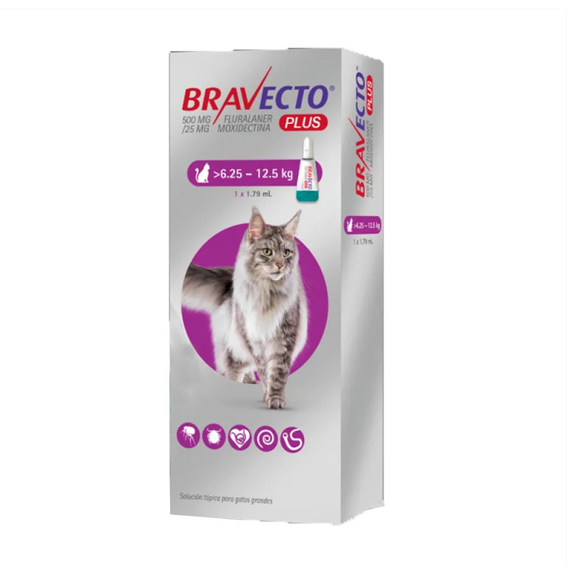 BRAVECTO PLUS 112.50 mg (6.25 KG - 12.5 KG)