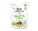 BRIT CRUNCHY SNACK INSECTS WITH RABBIT X 200 GR.