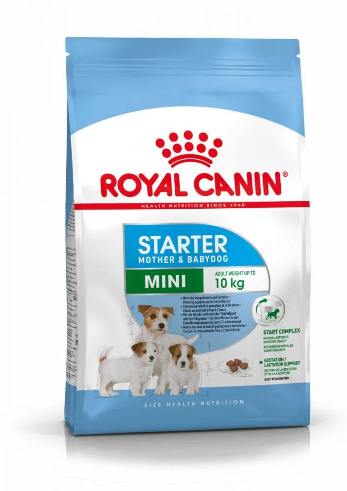 ROYAL CANIN SHN MINI STARTER X 4 KG