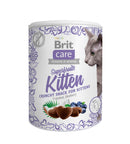 BRIT CARE CAT SNACK SUPERFRUITS KITTEN