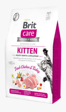 BRIT CARE CAT KITTEN HEALTHY GROWTH & DEVELOPMENT