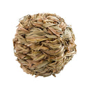 JUGUETE DENTAL PARA HAMSTER - PA 4791